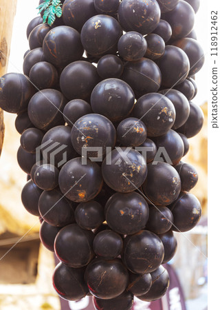 Artificial plastic berries of clusters of black grapes close -up Artificial plastic berries of clusters of black grapes close -up 118912462