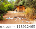 large unsightly pile of trash located near small wooden house in forest 118912465