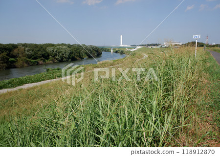 Edogawa River and its embankment, Nagareyama City, Chiba Prefecture, 29 km from the sea Edogawa River and its embankment, Nagareyama City, Chiba Prefecture, 29 km from the sea 118912870