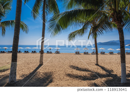 Beach umbrellas with sun beds on a sandy beach with palm trees by the sea at tropical resort in summer day in Vietnam 118913041