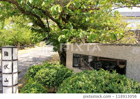 岸和田城堡 118913056