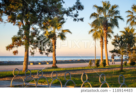 Batumi embankment at sunset. Sunset on the Black Sea with palm trees and trees on the background Batumi embankment at sunset. Sunset on the Black Sea with palm trees and trees on the background 118914483