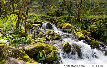 Waterfall cascade in tropical forest with stones and moss on summer sunny day.  118914486