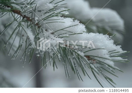 Charming winter wonderland embrace the joy of christmas with festive decorations and cheer Charming winter wonderland embrace the joy of christmas with festive decorations and cheer 118914495
