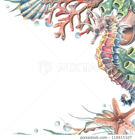 Seahorse, jellyfish, seashell, coral, starfish, sea sponge, algae, pebbles and bubbles. Hand drawn watercolor illustration of sea animals and the underwater. Template, frame square for the text. 118915107