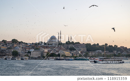 Evening landscape from the sea to the Sofia mosque with ships and flying seagulls over the sea.  Evening landscape from the sea to the Sofia mosque with ships and flying seagulls over the sea.  118915359