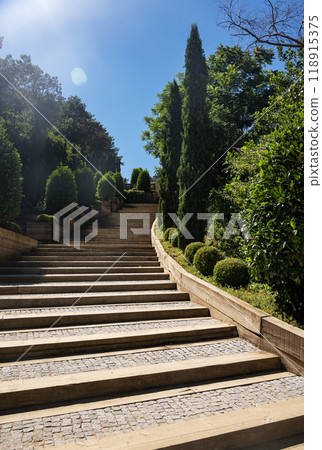 Stairs in the city park with bushes and trees on a sunny summer day. 118915375