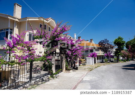Beautiful street with old houses and gardens with flowers on Adalar Island on a sunny summer day, 118915387