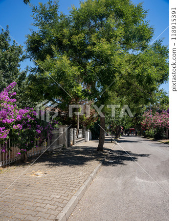 A path with beautiful blooming gardens and views of the Marmara Sea on the Adalar Islands. Istanbul 118915391