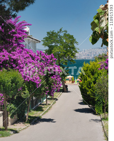 A path with beautiful blooming gardens and old house and views of the Marmara Sea A path with beautiful blooming gardens and old house and views of the Marmara Sea 118915393