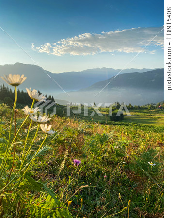 Beautiful landscape with mountains, flowers and a valley at sunset with blue sky and clouds Beautiful landscape with mountains, flowers and a valley at sunset with blue sky and clouds 118915408