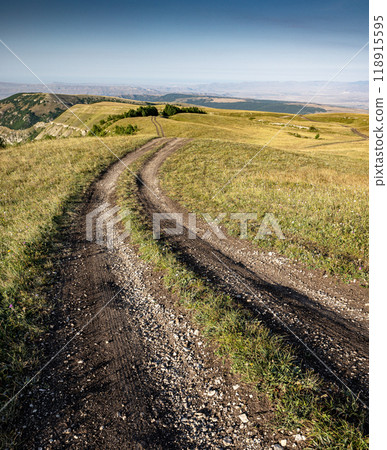 Landscape with a road in a field in the mountains with wildflowers and grass on a summer sunny day. 118915595