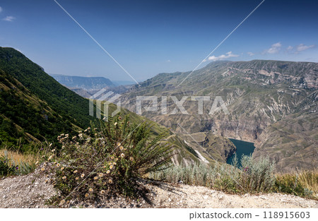 Beautiful panoramic view of the mountains with bushes, flowers and a blue-green river  118915603