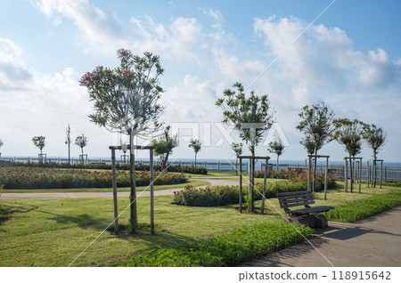 City park with trees, flowers and a bench overlooking the Black Sea on a summer day in a sunny haze City park with trees, flowers and a bench overlooking the Black Sea on a summer day in a sunny haze 118915642
