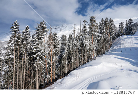 Beautiful landscape of the Arkhyz ski resort with mountains, snow and forest on a sunny winter day 118915767