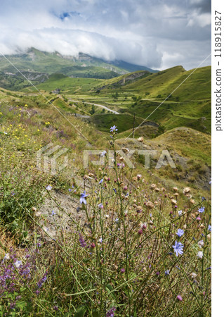 Landscape with mountains and fields with grass, flowers on a cloudy summer day. 118915827