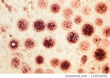 A blood sample with the virus. Generative AI. 118916056