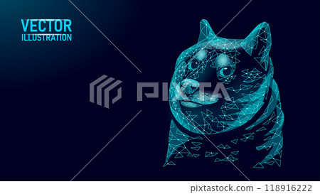 Low poly funny dog face. Shiba Inu dog crypto coin concept. Doge meme character cool portrait. Polygonal vector illustration 118916222