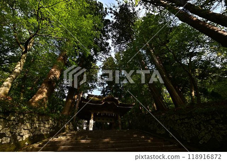 Ogamiyama Shrine with fresh greenery Ogamiyama Shrine with fresh greenery 118916872