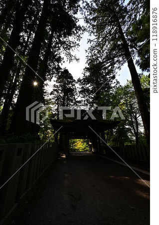 鮮綠的大神山神社 鮮綠的大神山神社 118916876