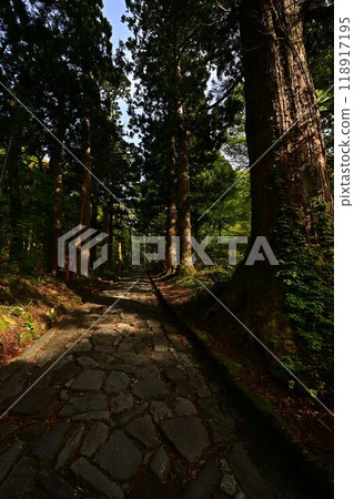 Ogamiyama Shrine with fresh greenery Ogamiyama Shrine with fresh greenery 118917195