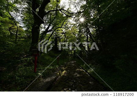 鮮綠的大神山神社 鮮綠的大神山神社 118917200