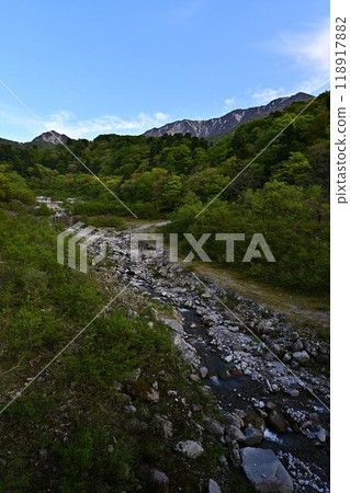 Oyama of the fresh green Oyama of the fresh green 118917882