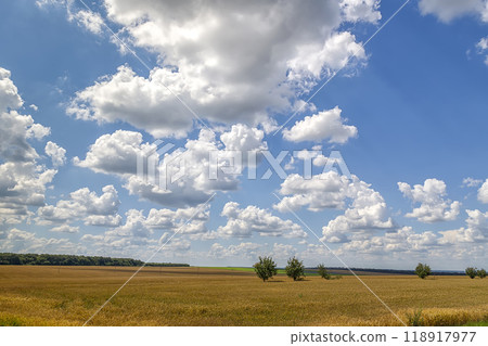 beautiful clouds over the field 118917977
