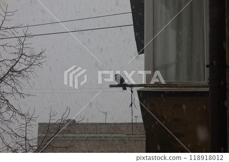 First snow in a Ukrainian city, a depressed post-Soviet city, Heavy snowfall in a dark gloomy poor city, Former Soviet Union  118918012