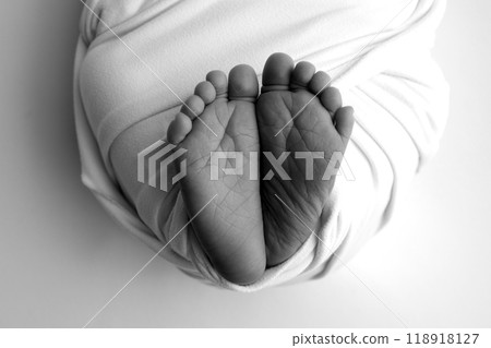 The palms of the parents. A father and mother hold the feet of a newborn child in a blanket. The feet of a newborn in the hands of parents. Black and white Photo of foot, heels and toes 118918127