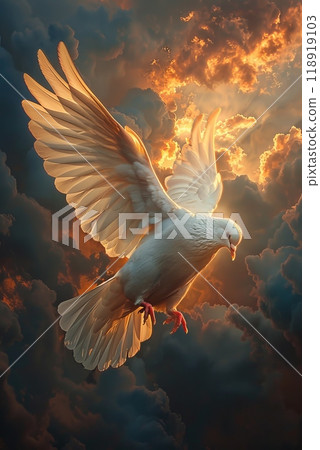 A white dove flying in the sky with a sun shining on it 118919103