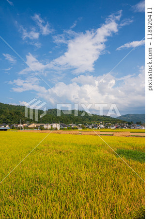[Hazekake]收穫的秋天[北安地區池田町] 118920411