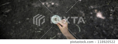 Hand holding delicate dandelion bulb flower over a fertile soil 118920522