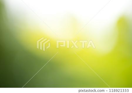 Blurred green background with sunlight 118921333