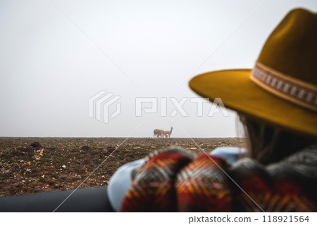 A woman wearing a yellow hat is looking out at a herd of llamas, traveling through the peruvian andes 118921564