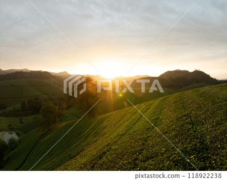 High angle view Rows of growing tea plantation at Long Coc mountains, Phu Tho province,Texture of Green tea leaf in northern Vietnam High angle view Rows of growing tea plantation at Long Coc mountains, Phu Tho province,Texture of Green tea leaf in northern Vietnam 118922238