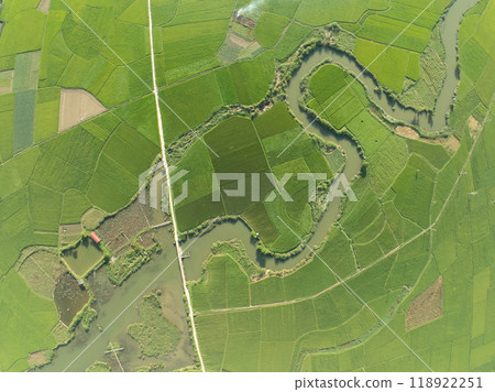Top view Rice fields in harvest season,High angle view over countryside at northern Vietnam 118922251