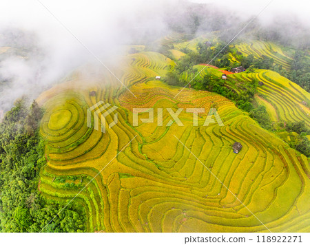 Drone aerial view of rice terrace field in harvest season,Green agricultural fields in countryside at northern Vietnam Drone aerial view of rice terrace field in harvest season,Green agricultural fields in countryside at northern Vietnam 118922271