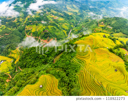 Drone aerial view of rice terrace field in harvest season,Green agricultural fields in countryside at northern Vietnam Drone aerial view of rice terrace field in harvest season,Green agricultural fields in countryside at northern Vietnam 118922273