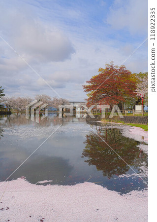 Shinto Park 118922335