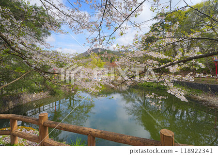Shinto Park Shinto Park 118922341