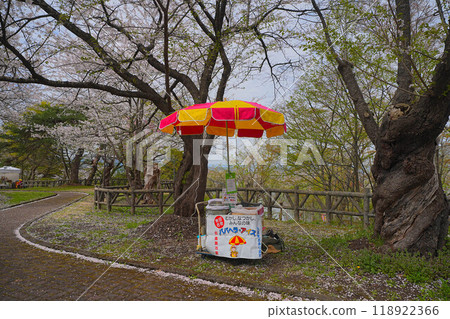 Shinto Park 118922366