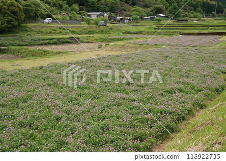 Lenge field Lenge field 118922735