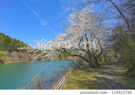 岩上親愛之森 岩上親愛之森 118922780