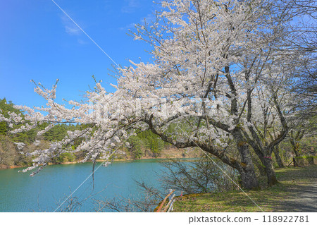 Iwagami Forest of Friendship Iwagami Forest of Friendship 118922781