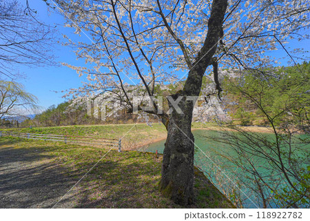 Iwagami Forest of Friendship Iwagami Forest of Friendship 118922782