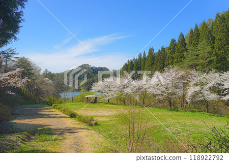 Iwagami Forest of Friendship Iwagami Forest of Friendship 118922792