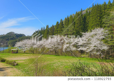 岩上親愛之森 岩上親愛之森 118922793