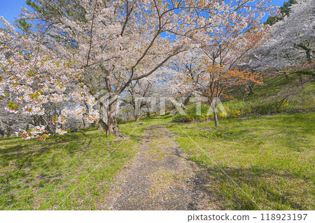 Imperial Park Contact Park 118923197