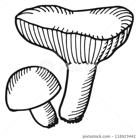 Milky cap fungus doodle. Woodland mushroom icon Milky cap fungus doodle. Woodland mushroom icon 118923442